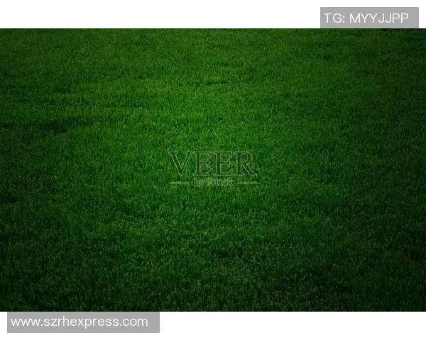 足球明星与自然的完美融合绿色抽象壁纸展现运动与环保的和谐美感